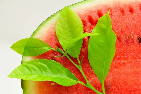 Water melon — Stock Photo, Image