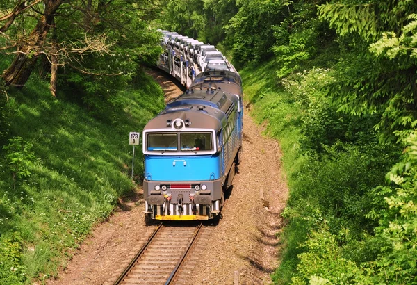 長い列車 — ストック写真