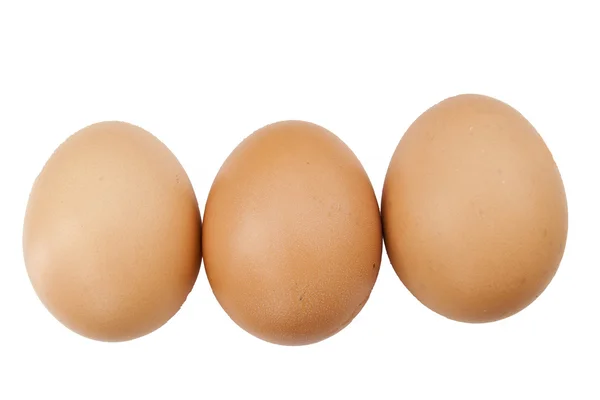 Huevos caseros — Zdjęcie stockowe