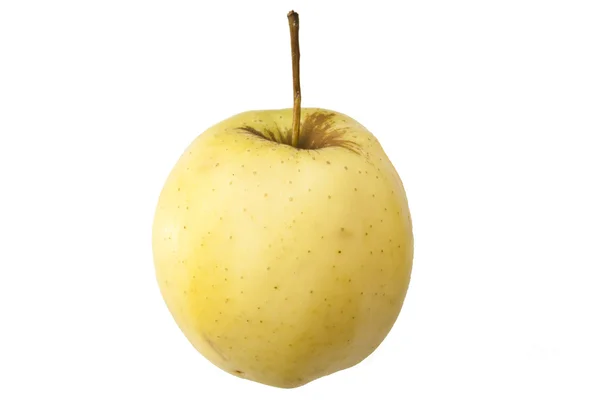 Frutos manzana —  Fotos de Stock