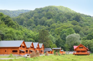 Wooden cottages in the Carpathians clipart