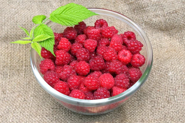 Bowl of fresh raspberry — Stock Photo, Image