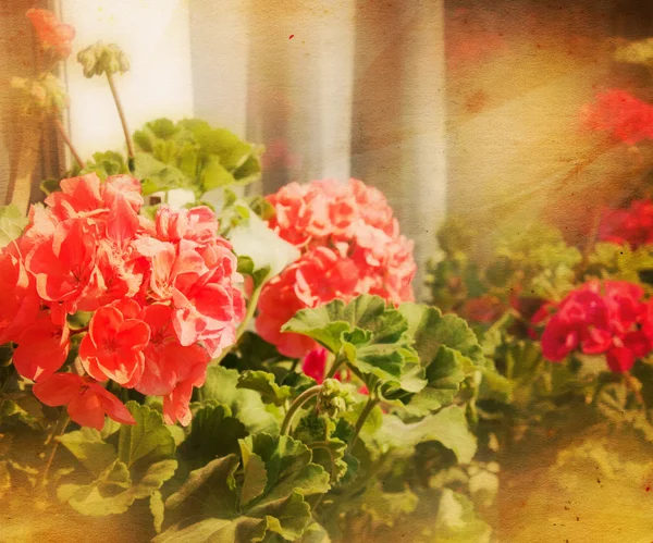 Vintage bloemen achtergrond — Stockfoto