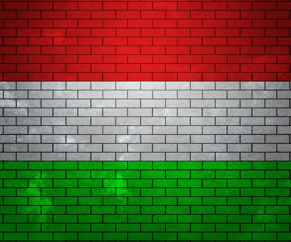 Macaristan bayrağı tuğla duvar — Stok fotoğraf