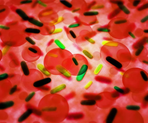 Bakterie w krwi wykształcenie medyczne — Zdjęcie stockowe