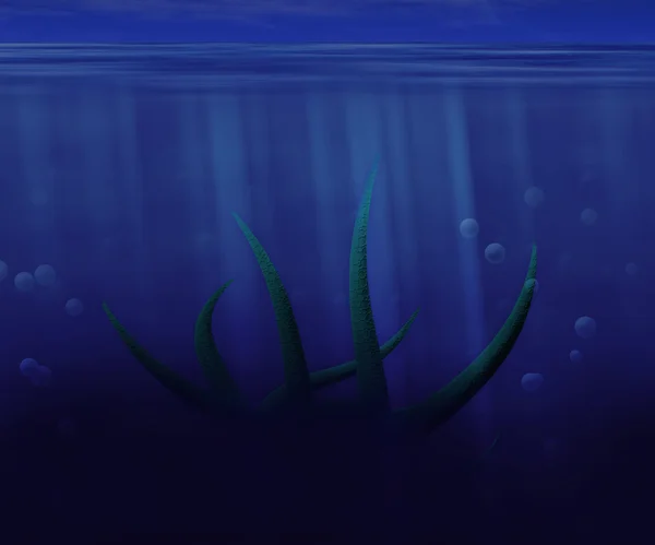 Krake unter Wasser — Stockfoto