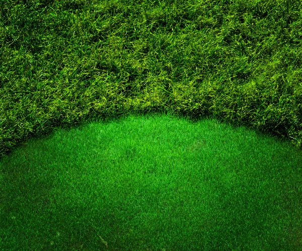 グリーン ゴルフ背景草のテクスチャ — ストック写真