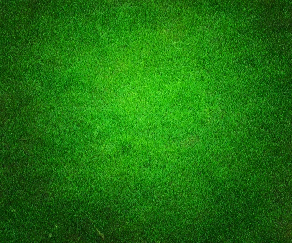 Зеленый фон для гольфа — стоковое фото