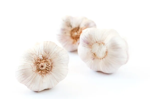 stock image Garlic bulbs