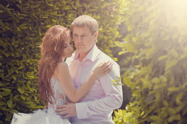 Hochzeitsfoto des Bräutigams und der Braut im Park — Stockfoto