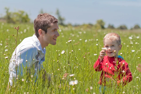 Pai e filho em alta grama verde — Fotografia de Stock