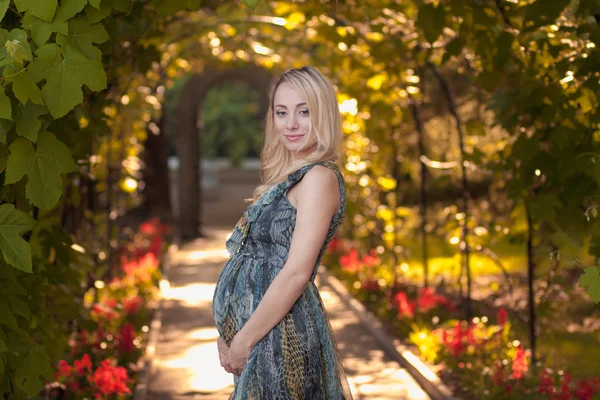 A beautiful pregnant girl in a park at sunset — Stock Photo, Image