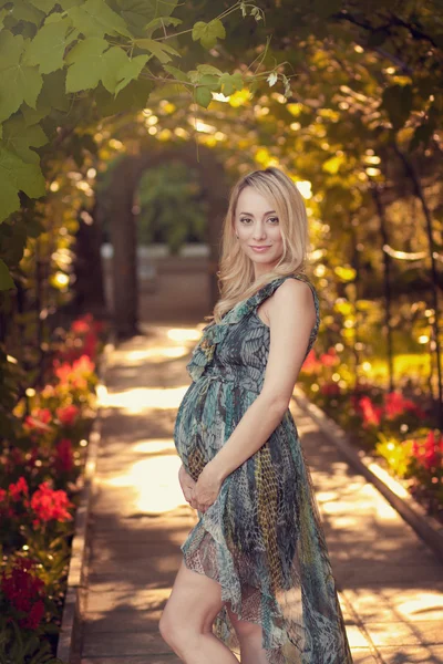 En vacker gravid flicka i parken i skymningen, kväll — Stockfoto