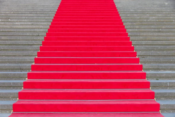 Červený koberec na schodech — Stock fotografie