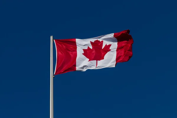 加拿大国旗迎风飘扬 免版税图库照片