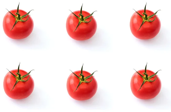 Tomates sobre fundo branco — Fotografia de Stock