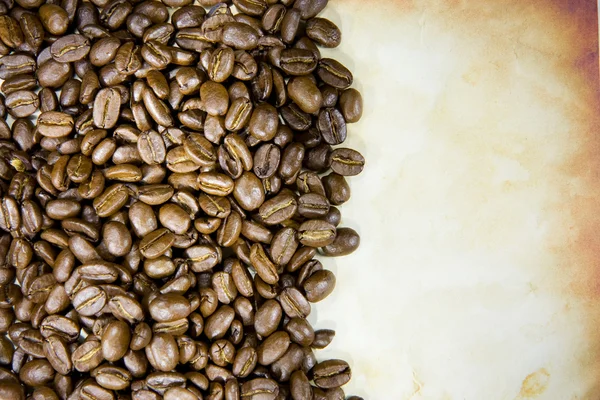 Кофейные зерна с копировальным местом — стоковое фото