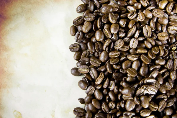 Kaffebönor med kopia utrymme — Stockfoto