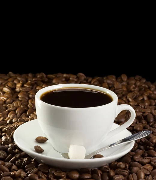 Cup of coffee on beans — Stock Photo, Image