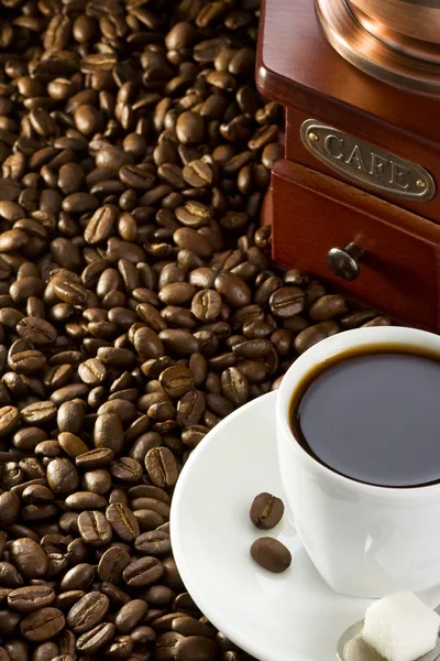 Cup of coffee and beans — Stock Photo, Image