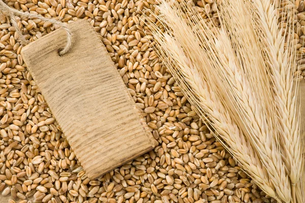 Spike of wheat and tag price — Stock Photo, Image
