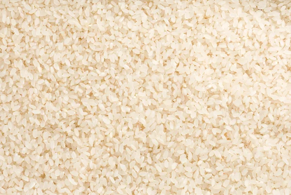 Семена риса в качестве фона — стоковое фото