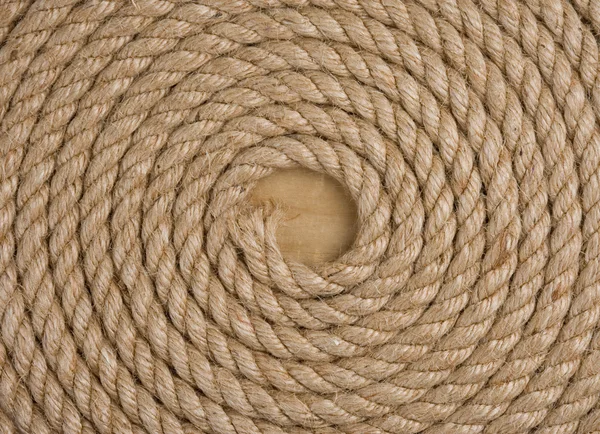 Ship ropes and knot on wood background