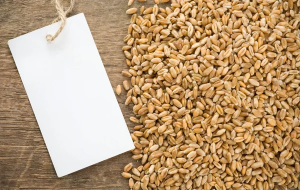Wheat grain and tag price — Stock Photo, Image