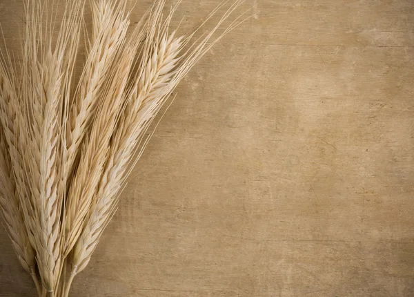 Espigão de borda de trigo na madeira — Fotografia de Stock