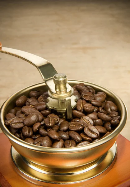 Coffee beans and grinder — Stock Photo, Image