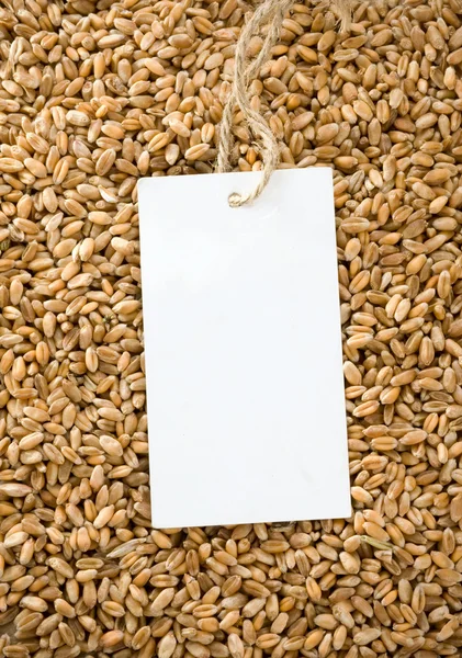 小麦和价格标签 — 图库照片