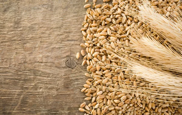 Wheat grain and ear on wood — Stock Photo, Image