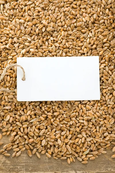 Пшеничное зерно на деревянной текстуре — стоковое фото