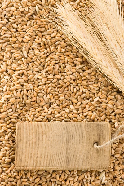 Pšeničná zrna a spike ucho — Stock fotografie