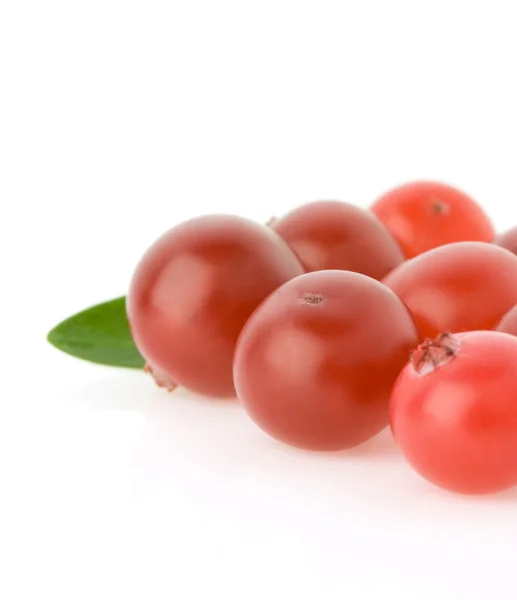 Cranberry maduro isolado em branco — Fotografia de Stock