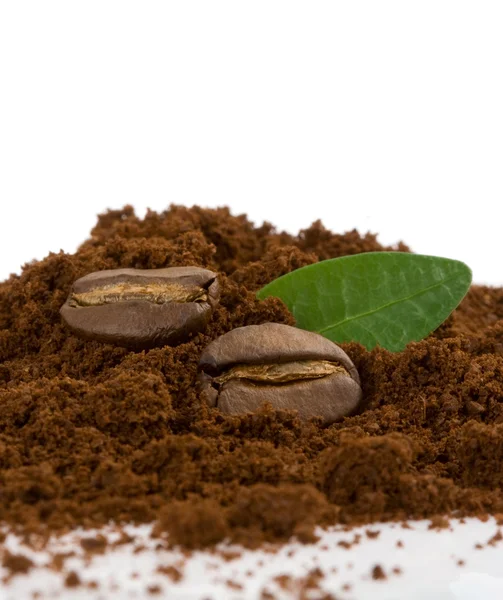 コーヒー豆、白で隔離される粉 — ストック写真