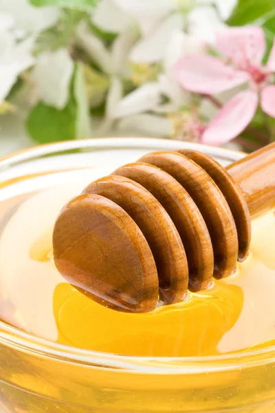 Miel dans un bocal en verre et bâton avec fleur — Photo