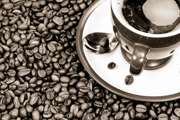 Caffè e fagioli — Foto Stock