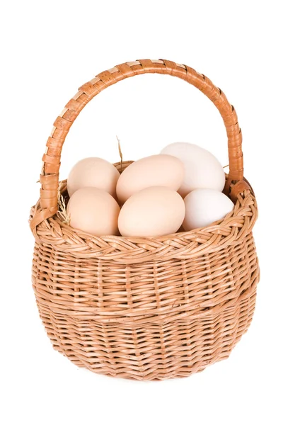 卵のバスケット — ストック写真