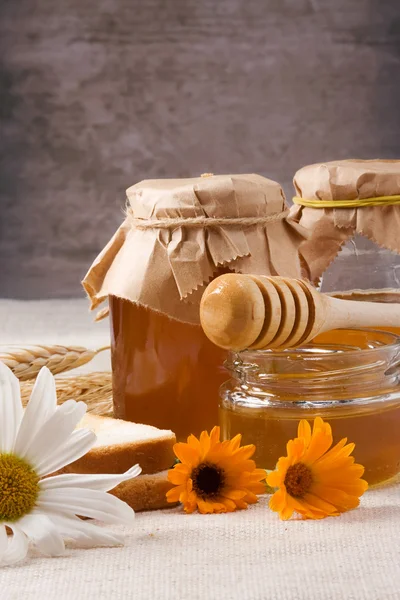 मध आणि ब्रेड — स्टॉक फोटो, इमेज