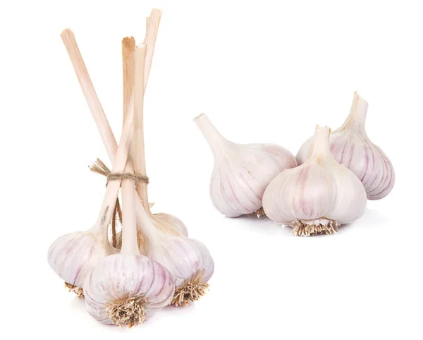 Bilden av isolerade garlics — Stockfoto