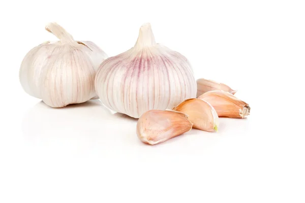 Garlic on a white — Stock Photo, Image