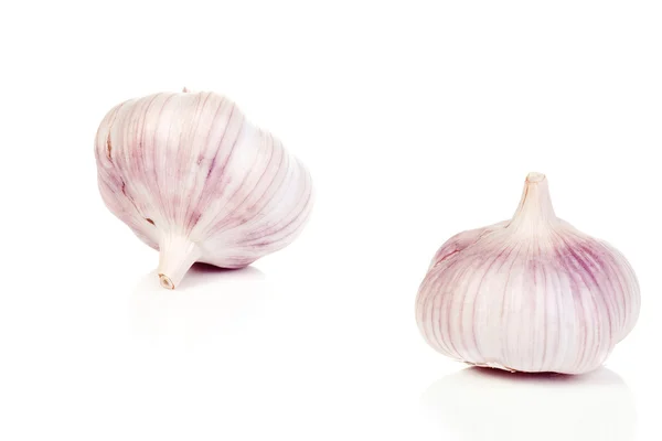 Garlic on a white background — Stock Photo, Image