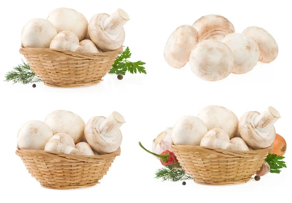 Funghi in cesto di vimini isolati su bianco — Foto Stock