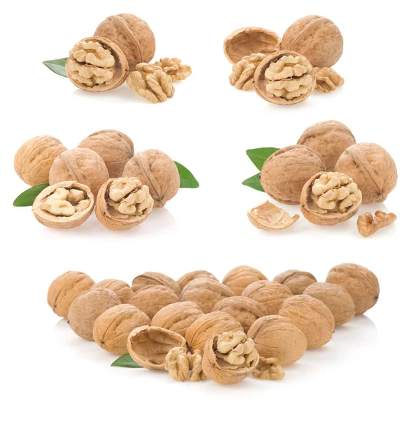 Sada ořechů izolovaných na bílém — Stock fotografie