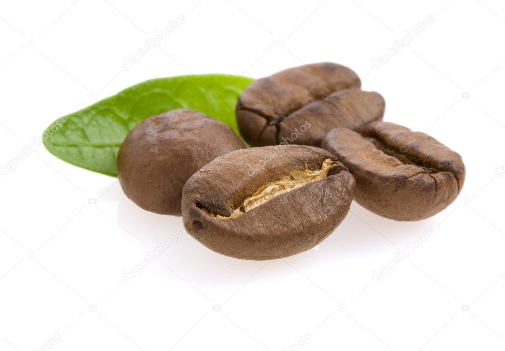 Coffee beans and leaf isolated on white