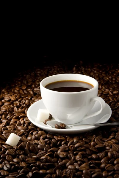 Tasse blanche de café et de haricots — Photo