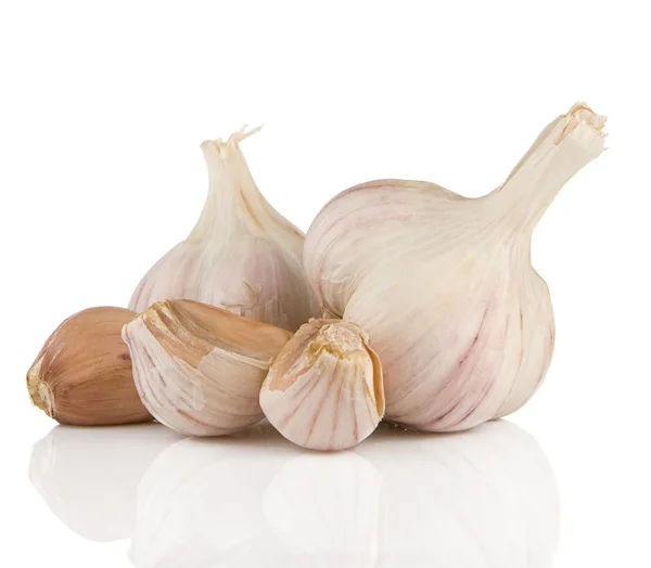 Garlics izolované na bílém — Stock fotografie