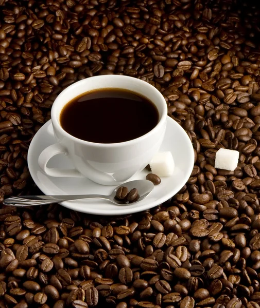 Чашка кофе на бобах — стоковое фото
