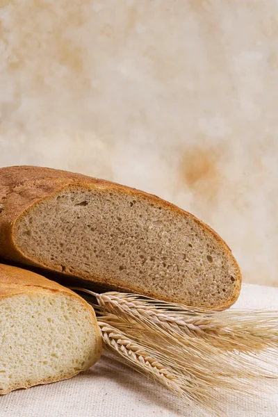 Ehlileştirmek üzerinde ekmek — Stok fotoğraf